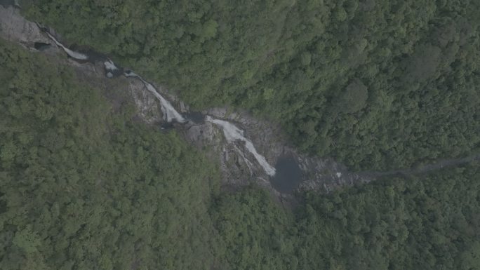 4k瀑布雨林海南亚热带森林丛林五指山航拍