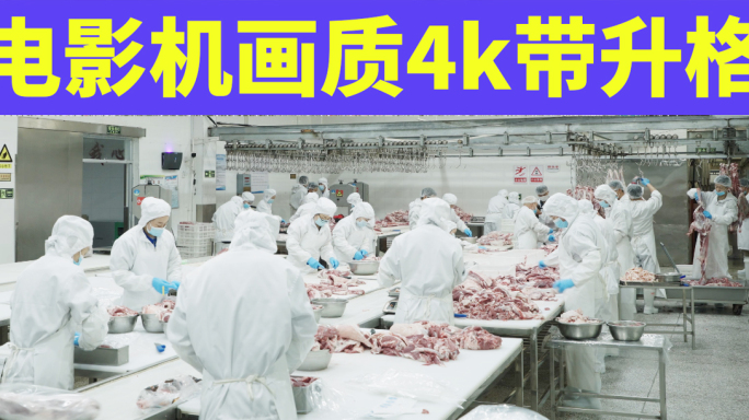 宁夏滩羊现代化牛肉羊肉加工厂4k