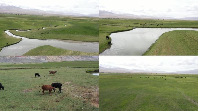 新疆喀什314国道塔合曼湿地02