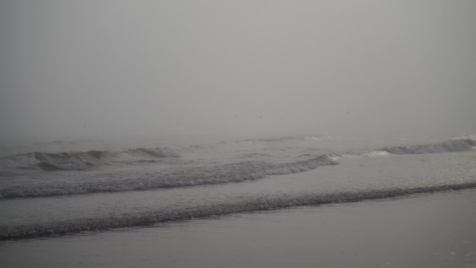 大海飞鸟海面海鸟捕鱼抓鱼阴天海边雨天雾天