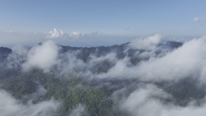 4k穿云热带雨林海南森林丛林五指山航拍