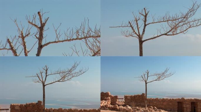 以色列死海西南海岸的古代要塞