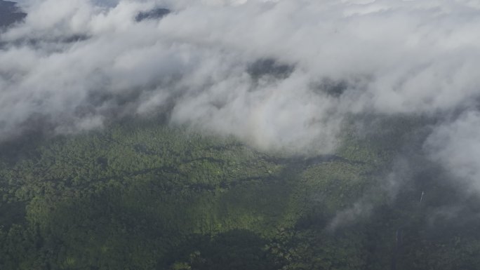 4k穿云热带雨林海南森林丛林五指山航拍
