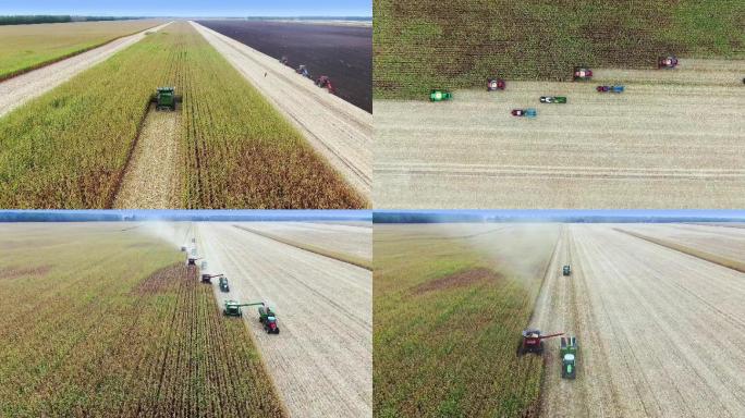 东北玉米丰收秋收时节农业机械收割视频素材