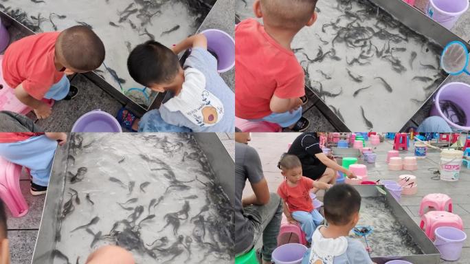 儿童乐园小孩子玩活鱼小朋友开心捉活小鱼儿