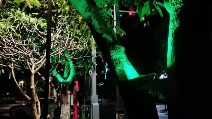 夜晚绿化带投射灯景区灯饰亮化工程绿色植物