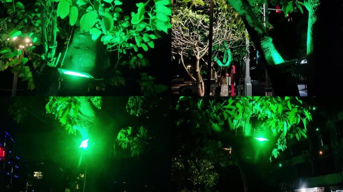 夜晚绿化带投射灯景区灯饰亮化工程绿色植物