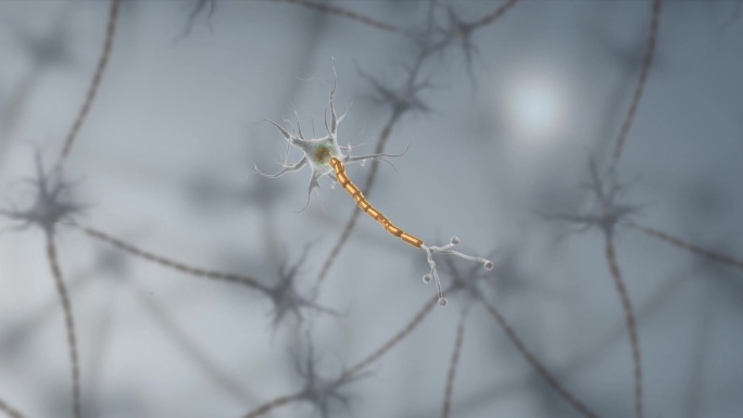 生物细胞神经元神经传导医学三维动画