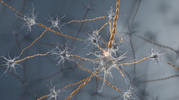 微观神经细胞3D神经三维动画