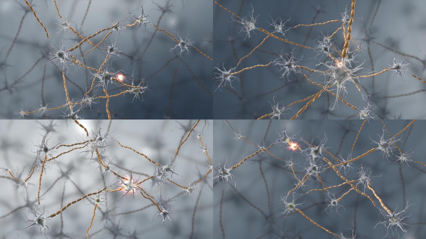 微观神经细胞3D神经三维动画