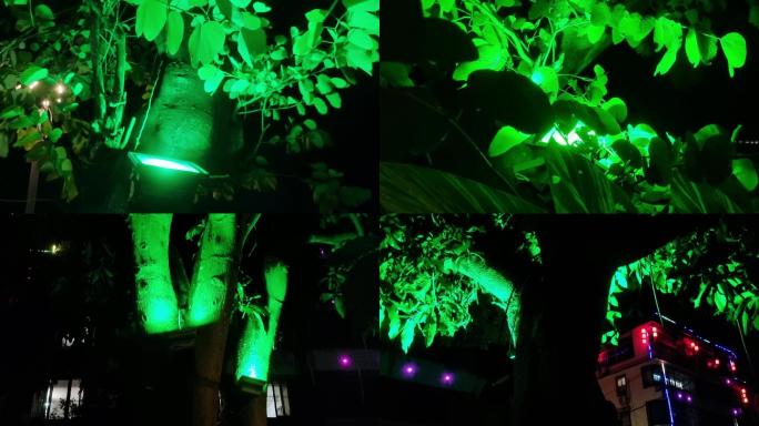 夜晚城市绿化带投射灯夜景灯光灯饰亮化工程