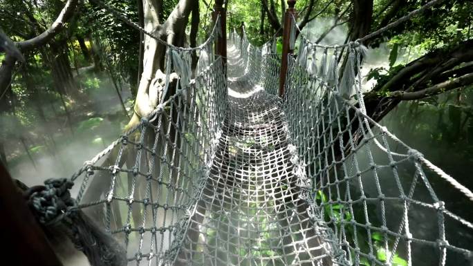 丛林 云雾 网桥 天梯 中国风 园林景观