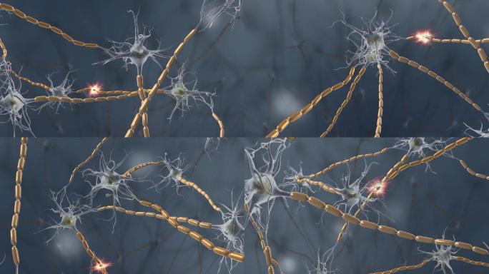 3D神经元神经细胞三维动画