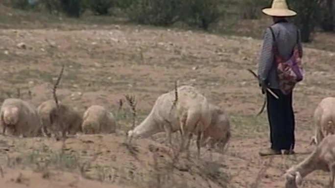 90年代荒漠化沙丘农场农民干旱