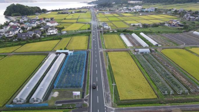 航拍汽车田野公路旅行