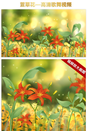 萱草花歌舞背景