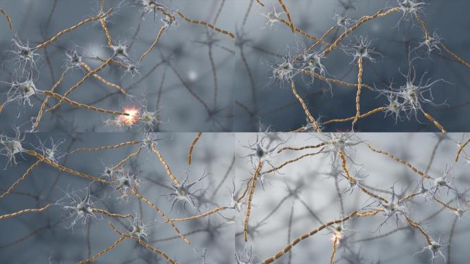 神经元神经树突细胞神经系统