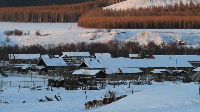 内蒙古边塞雪村