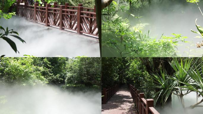 丛林 云雾 廊桥 园林景观 中国风