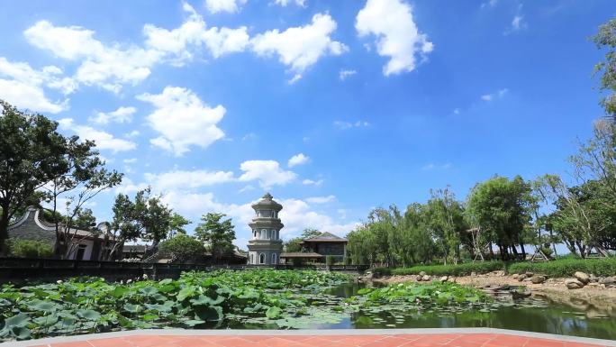 荷花池 白塔 中国风 园林 古典建筑