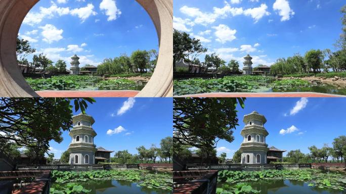 荷花池 白塔 中国风 园林 古典建筑