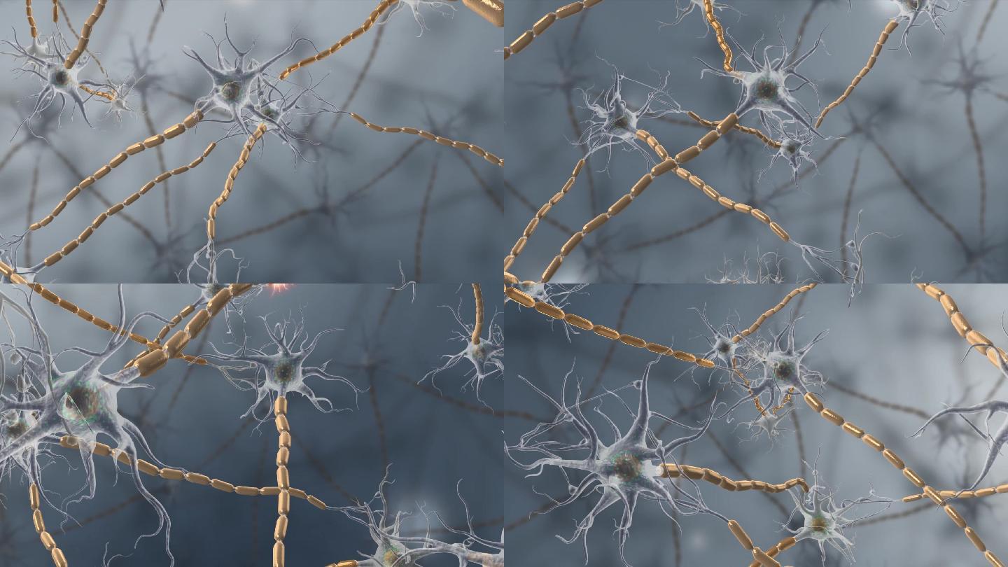 生物细胞神经元神经组织神经系统三维动画
