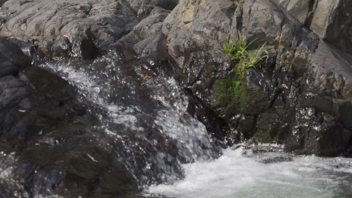 山里的清泉流水山涧