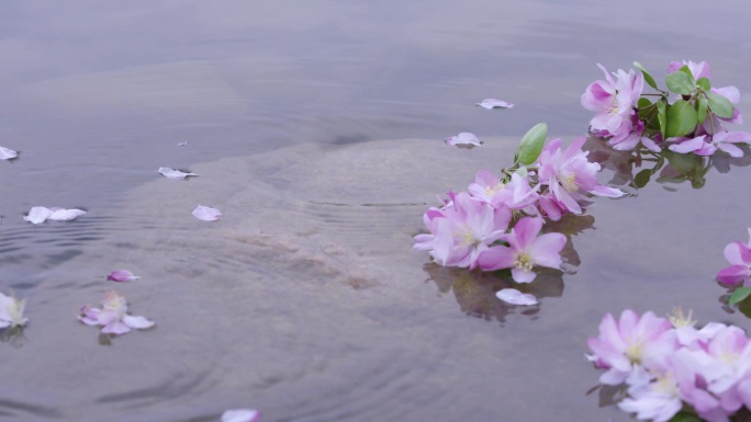 落花 流水