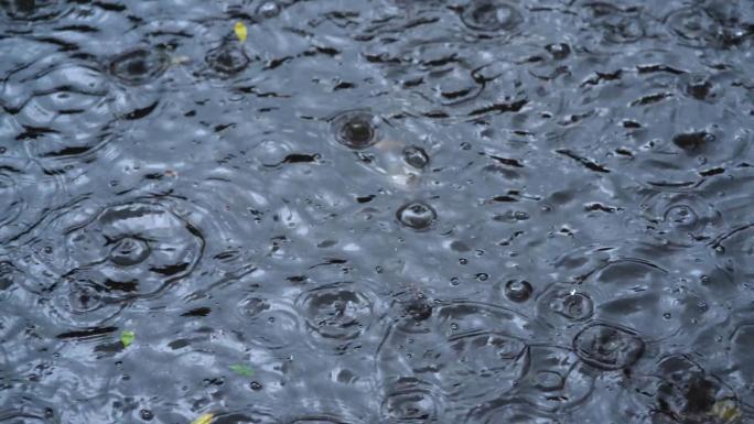 雨 水滴 雨滴 雨中行人