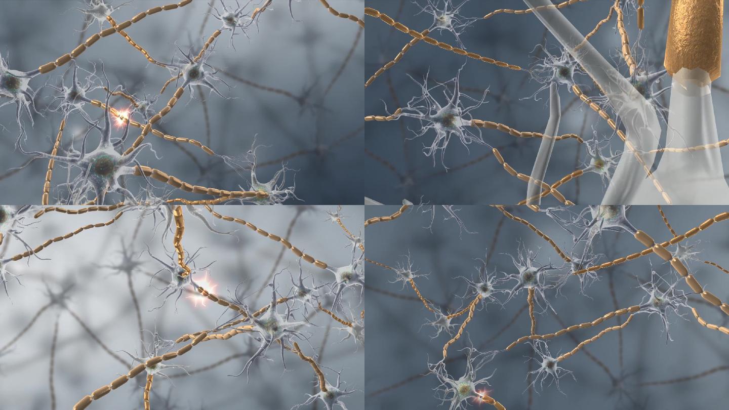 3D微观医学三维神经元细胞神经传导动画