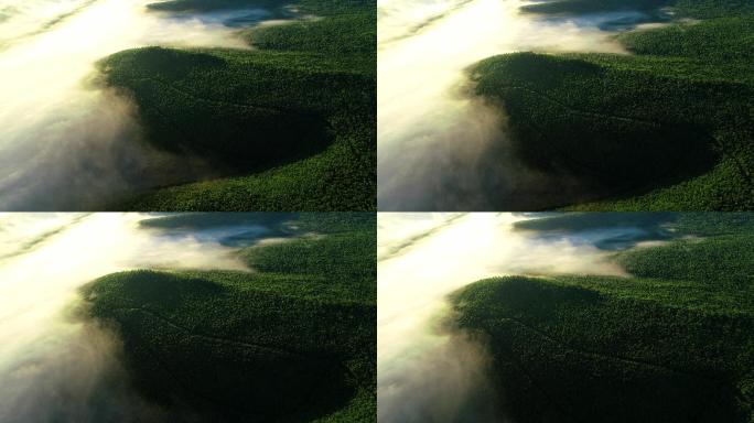航拍晨雾中的绿色阳光山林