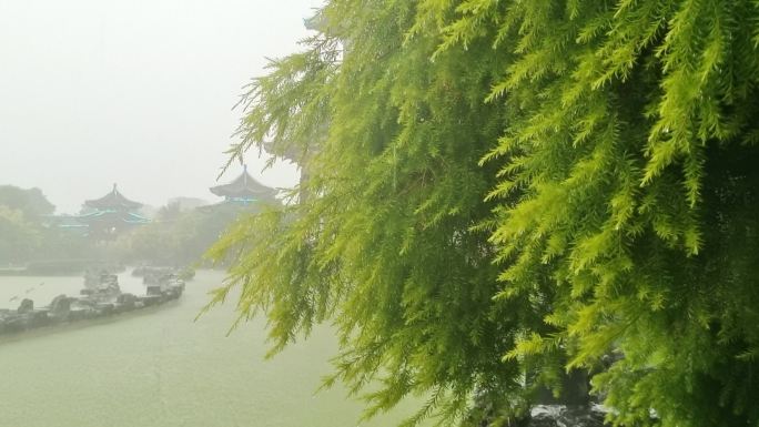 乌云暴雨秋雨夏雨春雨雨季园林小雨中雨暴雨