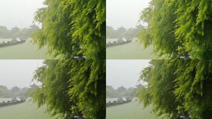 乌云暴雨秋雨夏雨春雨雨季园林小雨中雨暴雨