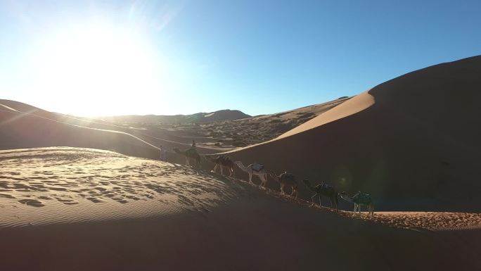 摩洛哥撒哈拉沙漠骑骆驼1