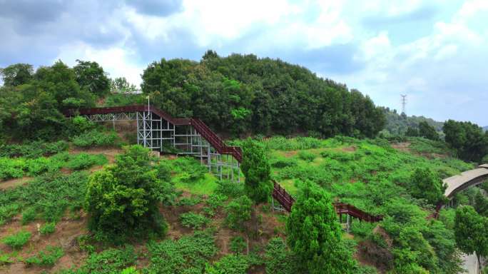 龙泉山观景平台5k航拍