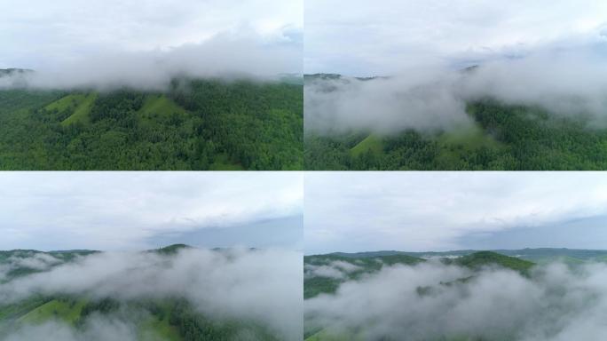 4K实拍-航拍原始森林晨雾1