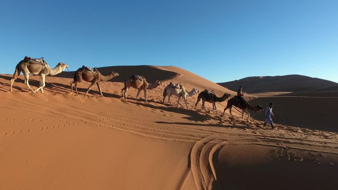 摩洛哥撒哈拉沙漠骑骆驼2