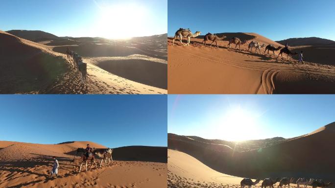 摩洛哥撒哈拉沙漠骑骆驼2