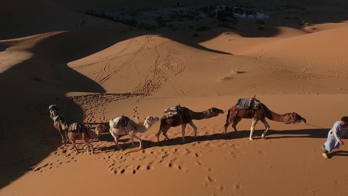 摩洛哥撒哈拉沙漠的骆驼队