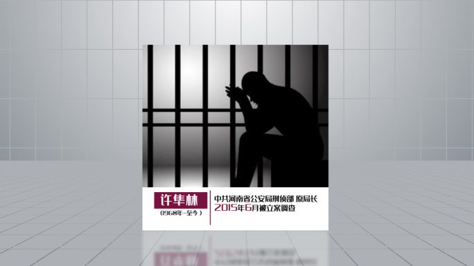 反腐警示嫌疑人介绍