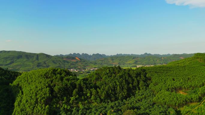 青山绿树自然风景