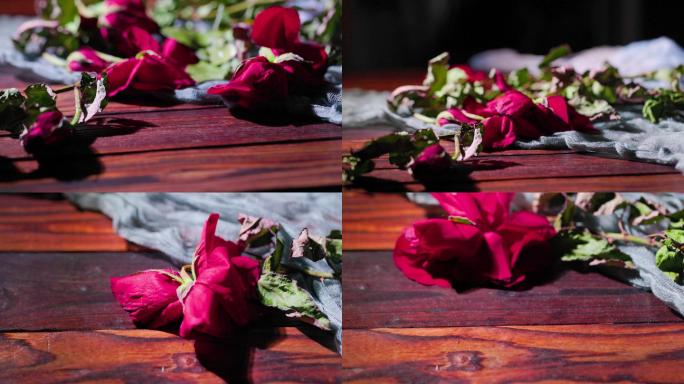 枯萎的玫瑰花红玫瑰