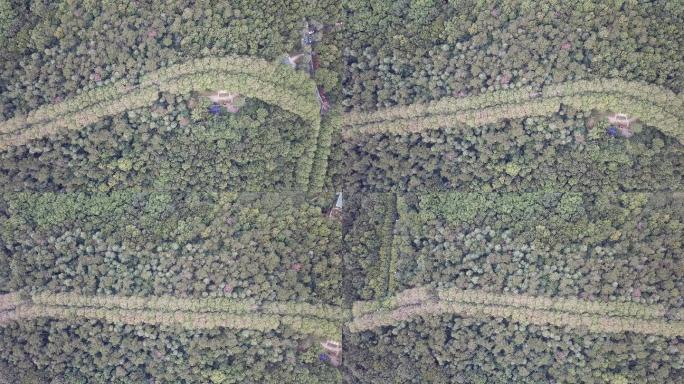 航拍江苏南京中山景区