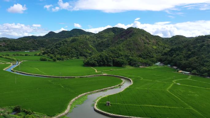 美丽乡村 实拍视频农业田园风光 稻田河流