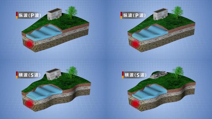 地震波原理动画演示