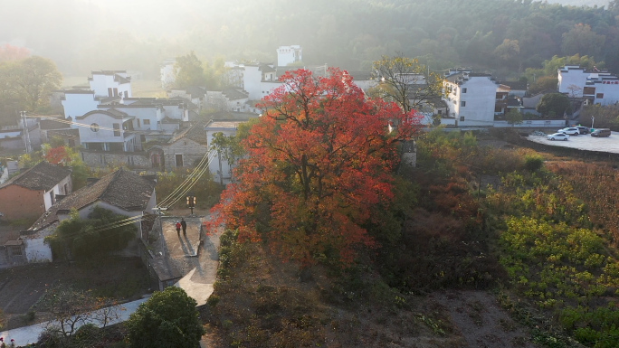 塔川秋色