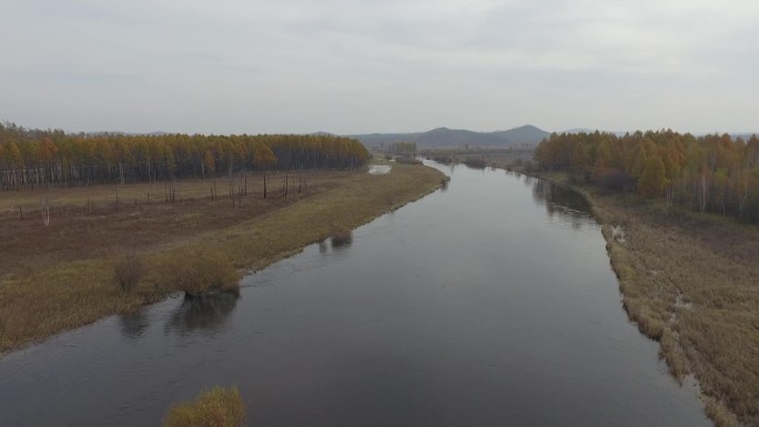 黑水兴安松岭南瓮河湿地航拍