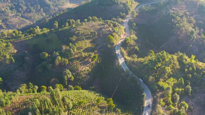 4K航拍 云南茶山 盘山公路 车队跟拍