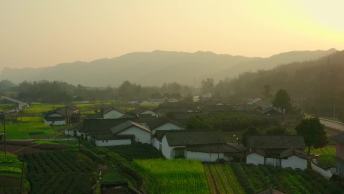 清晨夕阳乡村美景航拍