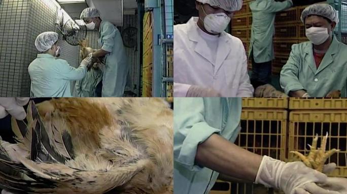 90年代香港禽流感检疫供港活鸡